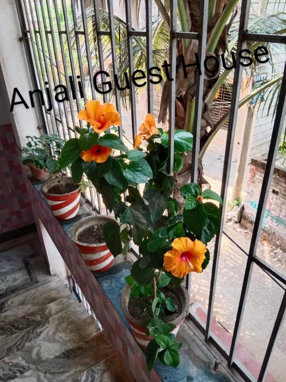Anjali Guest House Digha  Eksteriør bilde